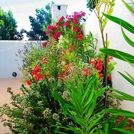 Meltemi Breeze Pool House Βίλα Λαχανιά