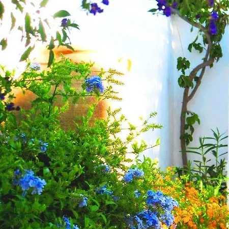 Meltemi Breeze Pool House Villa *
